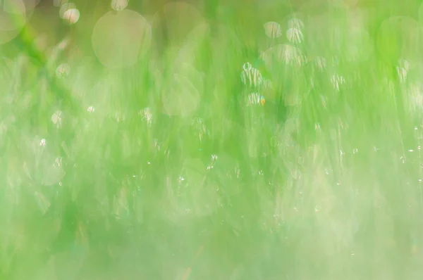 Abstrakt grön naturliga bakgrund. Färsk våren gräs med droppar — Stockfoto