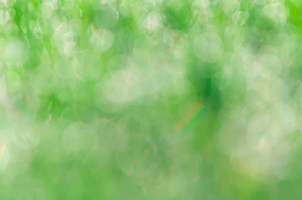 Abstrakt grön naturliga bakgrund. Färsk våren gräs med droppar — Stockfoto