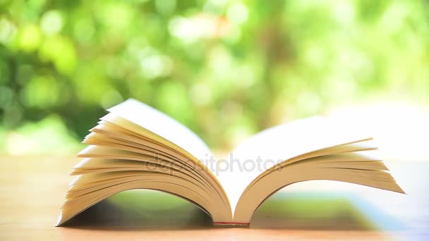 Book's pages turning by wind on table in garden — Stock Video