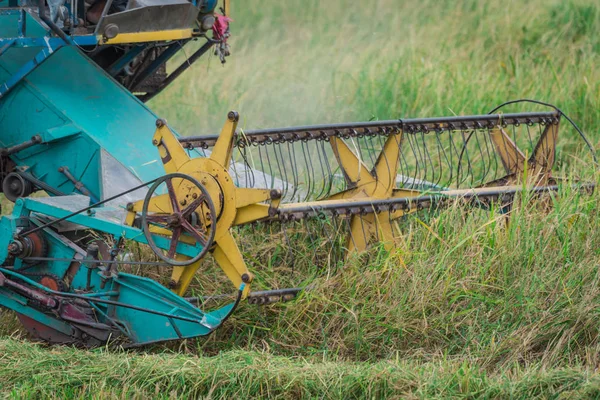 Combine machine harvesting ripe rice in the rice field.