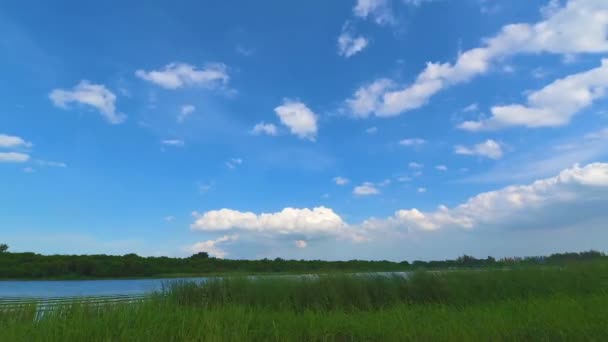 Пухнаста біла хмара над озером . — стокове відео