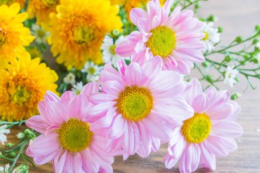 Arka plan üzerinde güzel çiçek