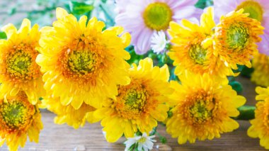 Arka plan üzerinde güzel çiçek