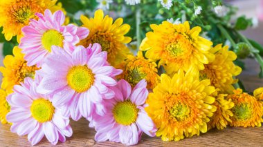 Arka plan üzerinde güzel çiçek