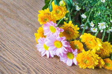 Arka plan üzerinde güzel çiçek