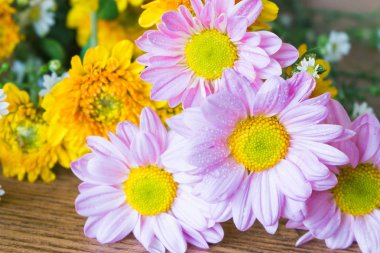 Arka plan üzerinde güzel çiçek