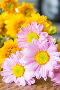 Arka plan üzerinde güzel çiçek