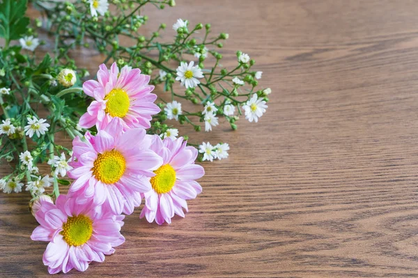 Arka plan üzerinde güzel çiçek