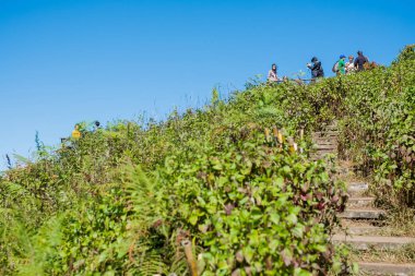 Chiangmai, Tayland - 21 Aralık: Kew Mae Pan doğa iz Doi Inthanon Milli Parkı'nda, üzerinde 21 Aralık 2016 Chiangmai, Tayland