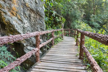 Op luang Milli Parkı Chiangmai Tayland