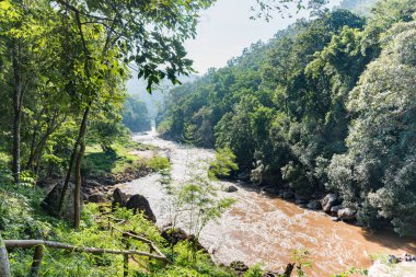 Op luang Milli Parkı Chiangmai Tayland
