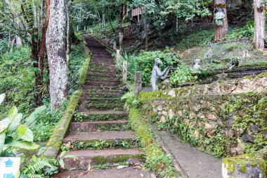 Chiangmai, Tayland - Ekim 25: Wat Tham Chiang Dao üzerinde 25 Ekim 2016 Chiangmai, Tayland