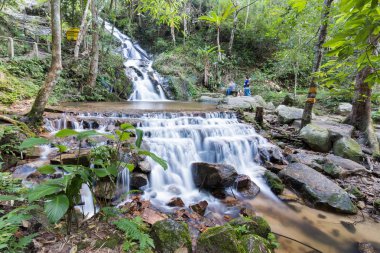Chiangmai, Tayland - Kasım 25: Mae Kampong şelale üzerinde 25 Kasım 2016 Chiangmai, Tayland