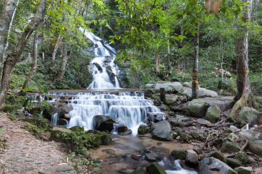 Mae Kampong şelale, chiangmai Tayland
