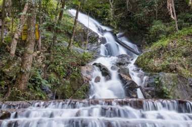 Mae Kampong şelale, chiangmai Tayland