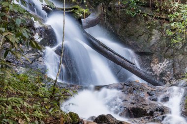 Mae Kampong şelale, chiangmai Tayland