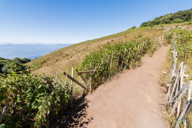 Kew Mae Pan doğa iz Doi Inthanon Milli Parkı'nda, Chiang Mai, Tayland