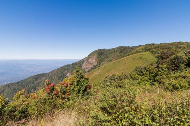 Kew Mae Pan doğa iz Doi Inthanon Milli Parkı'nda, Chiang Mai, Tayland