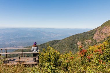 Chiangmai, Tayland - 21 Aralık: Kew Mae Pan doğa iz Doi Inthanon Milli Parkı'nda, üzerinde 21 Aralık 2016 Chiangmai, Tayland