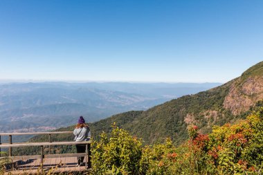 Chiangmai, Tayland - 21 Aralık: Kew Mae Pan bakış, Doi Inthanon Milli Parkı, üzerinde 21 Aralık 2016 Chiangmai, Tayland