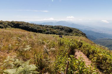 Kew Mae Pan doğa iz Doi Inthanon Milli Parkı'nda, Chiang Mai, Tayland