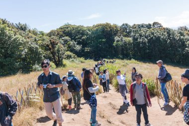 Chiangmai, Tayland - 21 Aralık: Kew Mae Pan doğa iz Doi Inthanon Milli Parkı'nda, üzerinde 21 Aralık 2016 Chiangmai, Tayland