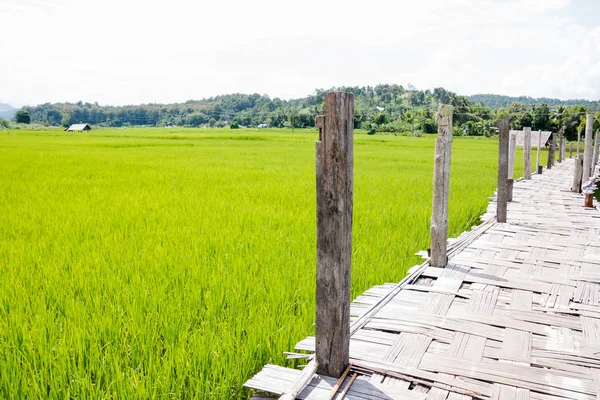 Sutongpe träbro på Maehongson, Thailand — Stockfoto