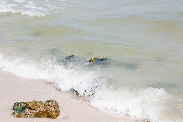 Tengeri hullám a strandon Stock Fotó