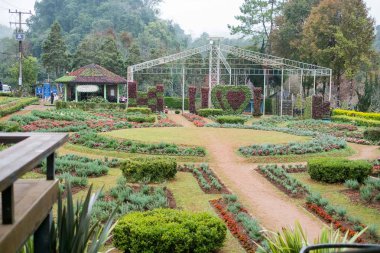 Chiangmai, Tayland - Aralık 17: Ang Khang istasyonu, ünlü Garden'da Doi Ang Khang üzerinde 17 Aralık 2016 Chiangmai, Tayland