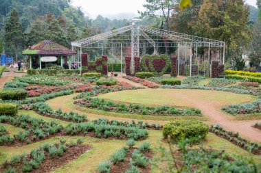 Chiangmai, Tayland - Aralık 17: Ang Khang istasyonu, ünlü Garden'da Doi Ang Khang üzerinde 17 Aralık 2016 Chiangmai, Tayland