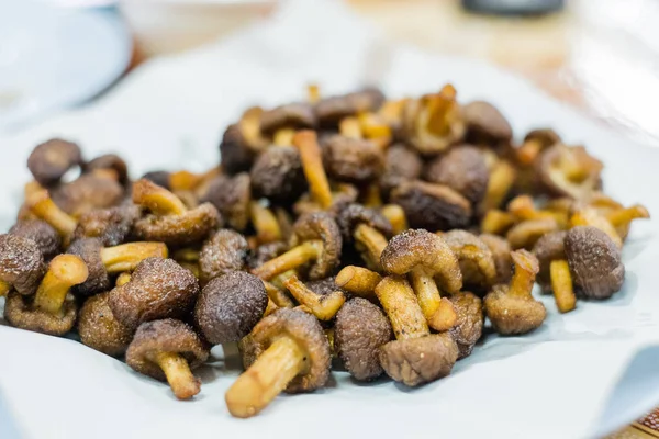 Deliciosos champiñones fritos enplato blanco — Foto de Stock