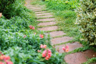 geçit Angkhang istasyonu, Chiangmai Tayland bahçesinde