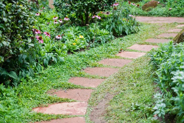 geçit Angkhang istasyonu, Chiangmai Tayland bahçesinde