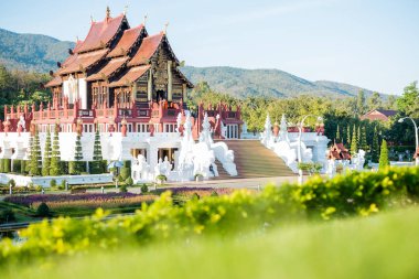Chiangmai, Tayland - 14 Ocak: Royal Park Rajapruek üzerinde 14 Ocak 2017 Chiangmai, Tayland