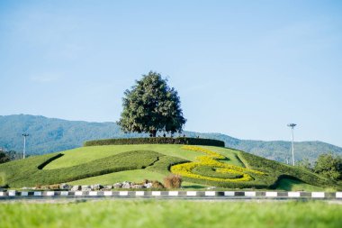 Chiangmai, Tayland - 14 Ocak: Royal Park Rajapruek üzerinde 14 Ocak 2017 Chiangmai, Tayland