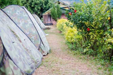 Phu akciğer ka, Tayland dağlarında kamp turist çadır