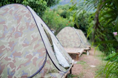 Phu akciğer ka, Tayland dağlarında kamp turist çadır