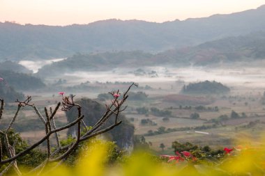 Doğal dağ manzarası ve sis Phu akciğer ka tepe üzerinde 