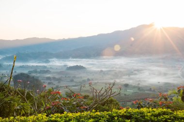 Doğal dağ manzarası ve sis Phu akciğer ka tepe üzerinde 