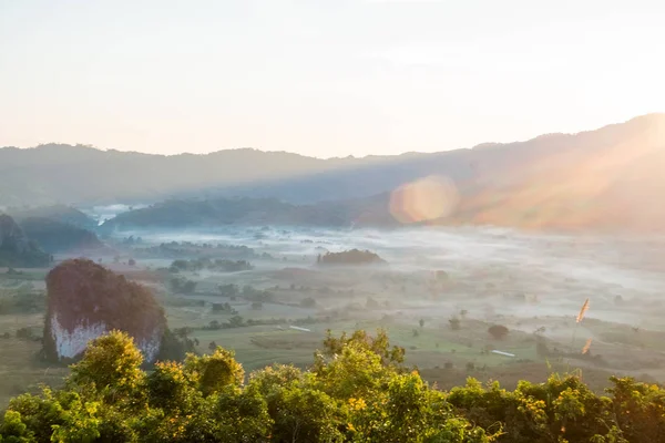 Doğal dağ manzarası ve sis Phu akciğer ka tepe üzerinde 
