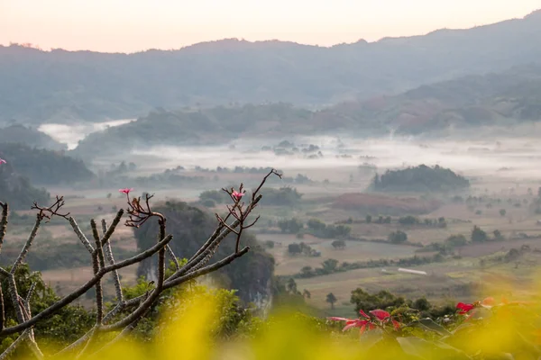 Doğal dağ manzarası ve sis Phu akciğer ka tepe üzerinde 