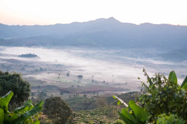 Doğal dağ manzarası ve sis Phu akciğer ka tepe üzerinde 
