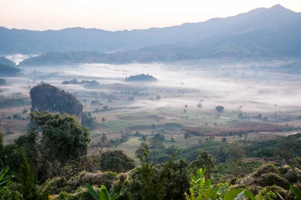 Doğal dağ manzarası ve sis Phu akciğer ka tepe üzerinde 
