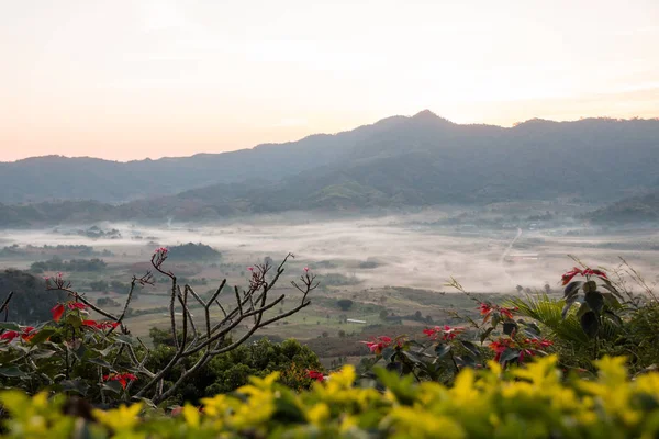 Doğal dağ manzarası ve sis Phu akciğer ka tepe üzerinde 