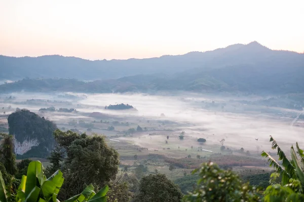 Doğal dağ manzarası ve sis Phu akciğer ka tepe üzerinde 