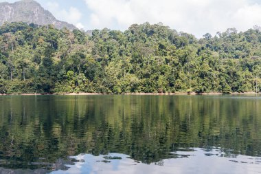 Ratchaprapa baraj veya Cheow Larn Gölü, Tayland en güzel yerlerinden biri olan Khao Sok Milli Parklar