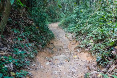 Doğa iz çalışma Khao Sok Milli Parkı'nda Tayland