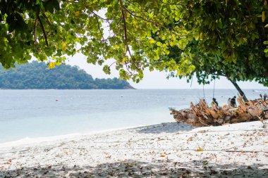 Tayland 'da Ko Lipe sahilinin manzarası.