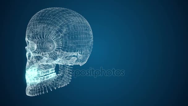 3D-modell av mänsklig skalle av linjer och punkter abstraktion. — Stockvideo