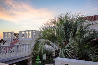 vanilya günbatımı Palm